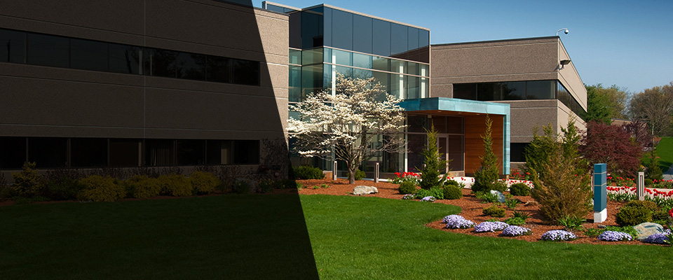 Lumberton Landscapers