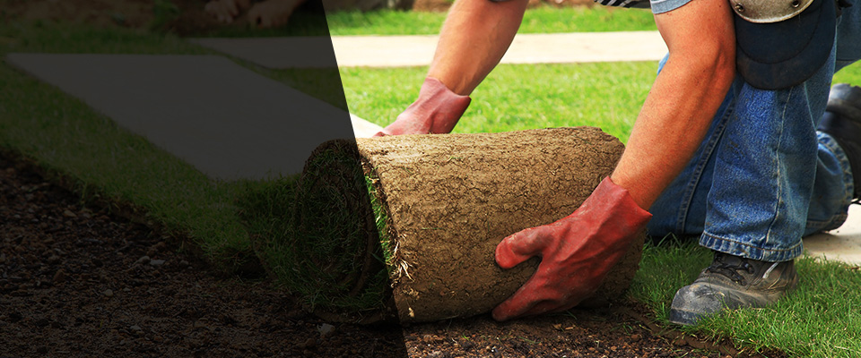 Lumberton Landscapers